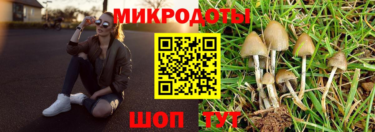 Галлюциногенные грибы GOLDEN TEACHER  Вход с VPN  Новозыбков 