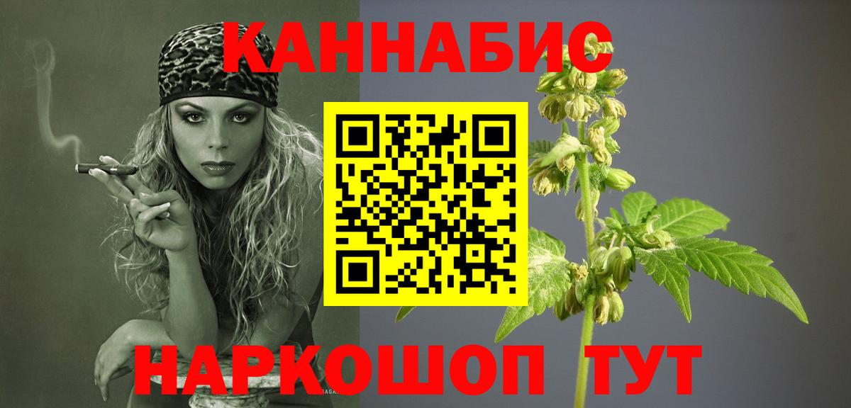 Бошки Шишки White Widow  Бошки Шишки марихуана  Вход с VPN  Новозыбков 